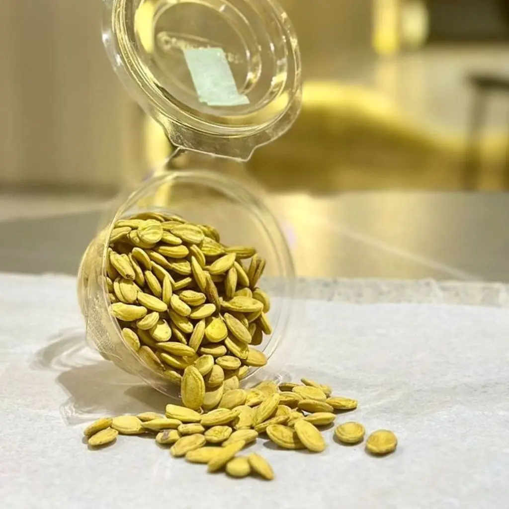 Egyptian Seeds
